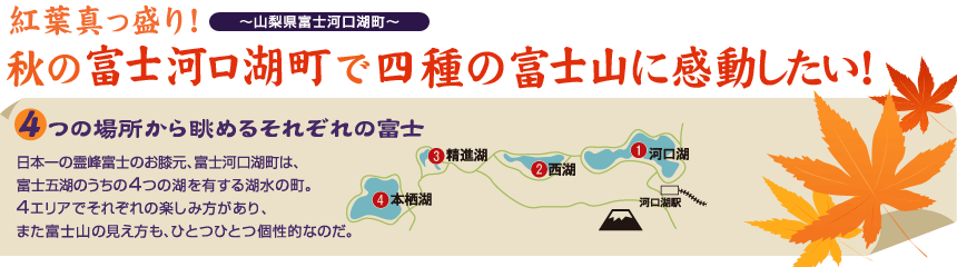 『紅葉真っ盛り！秋の藤河口湖町で四種の富士山に感動したい！』～山梨県富士河口湖町～