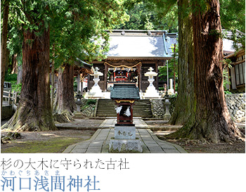 杉の大木に守られた古社河口浅間（かわぐちあさま）神社