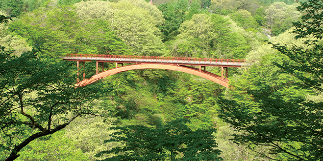阿武隈川に架かる鉄橋は
新緑と紅葉観賞の特等席

