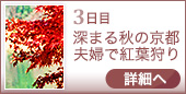 3日目｜深まる秋の京都夫婦で紅葉狩り