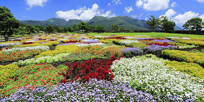22万㎡の高原に広がる
花々の楽園


