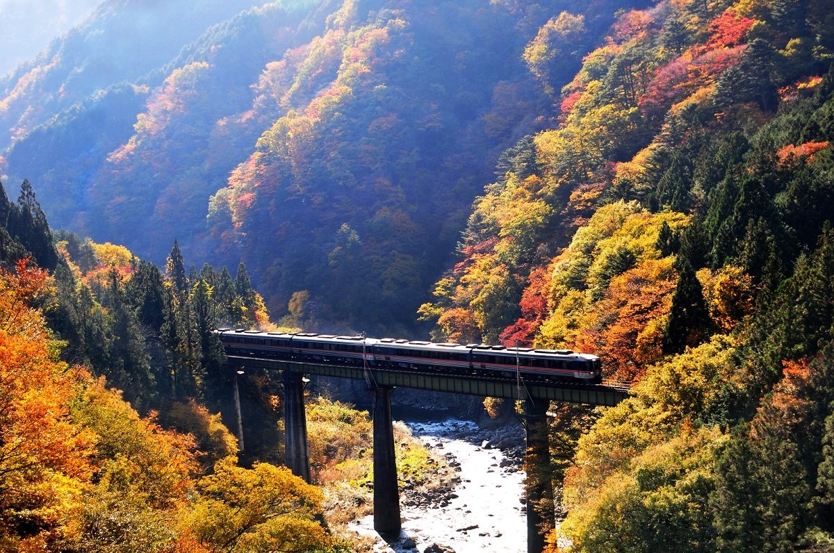 The列車 ワイドビュー ひだ トレたび 鉄道 旅行情報サイト